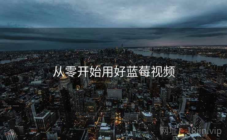 从零开始用好蓝莓视频  第2张