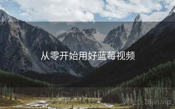从零开始用好蓝莓视频  第1张