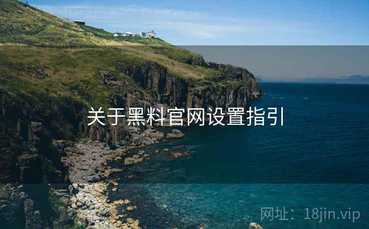 关于黑料官网设置指引  第1张