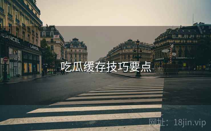 吃瓜缓存技巧要点  第1张