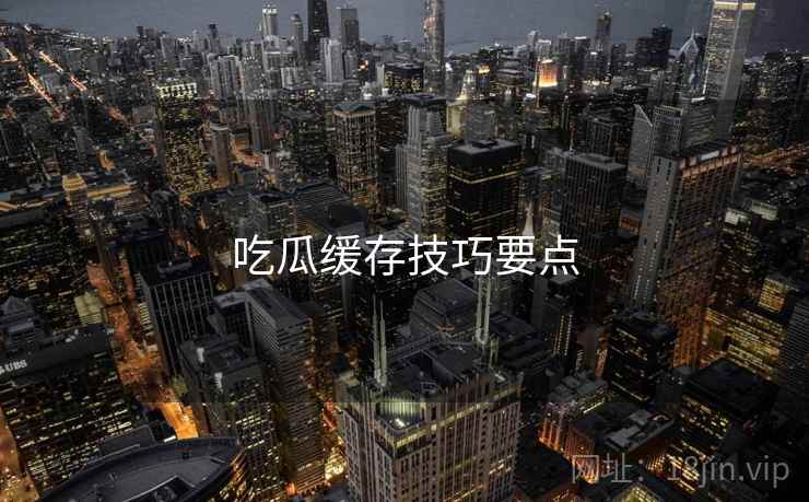 吃瓜缓存技巧要点  第2张