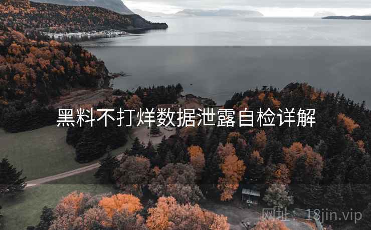 黑料不打烊数据泄露自检详解  第1张