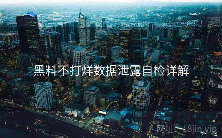 黑料不打烊数据泄露自检详解  第2张