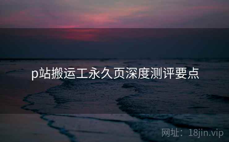 p站搬运工永久页深度测评要点  第1张
