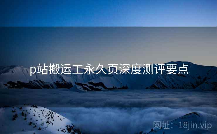p站搬运工永久页深度测评要点  第2张