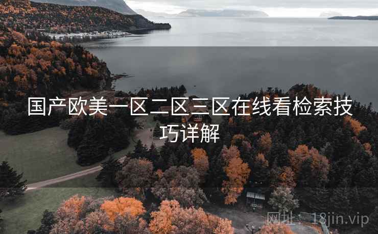 国产欧美一区二区三区在线看检索技巧详解  第1张