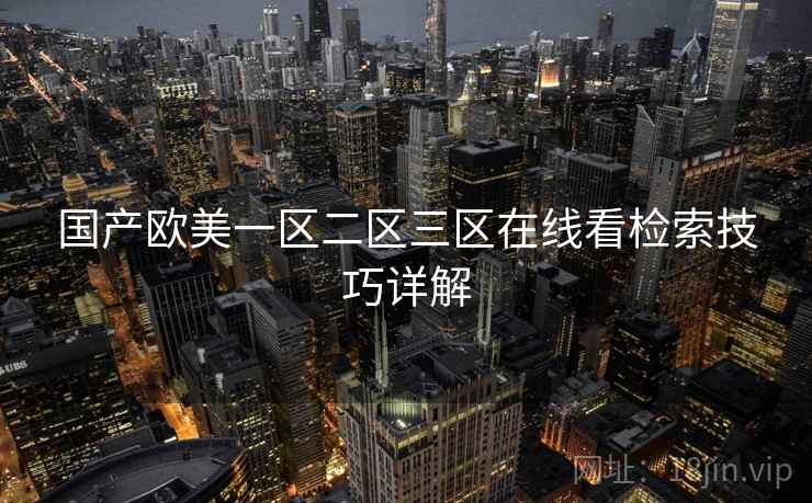国产欧美一区二区三区在线看检索技巧详解  第2张