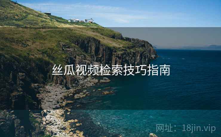 丝瓜视频检索技巧指南  第2张
