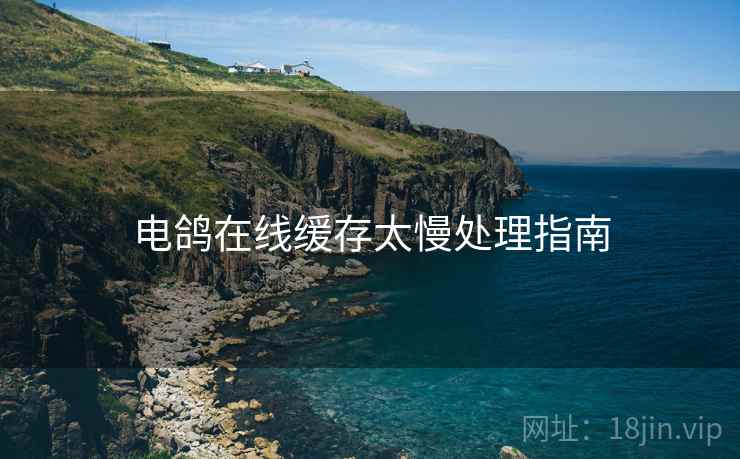 电鸽在线缓存太慢处理指南  第1张