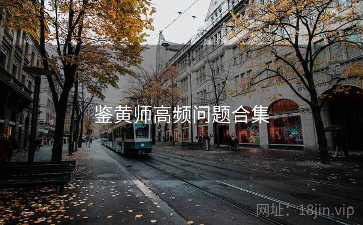 鉴黄师高频问题合集  第2张
