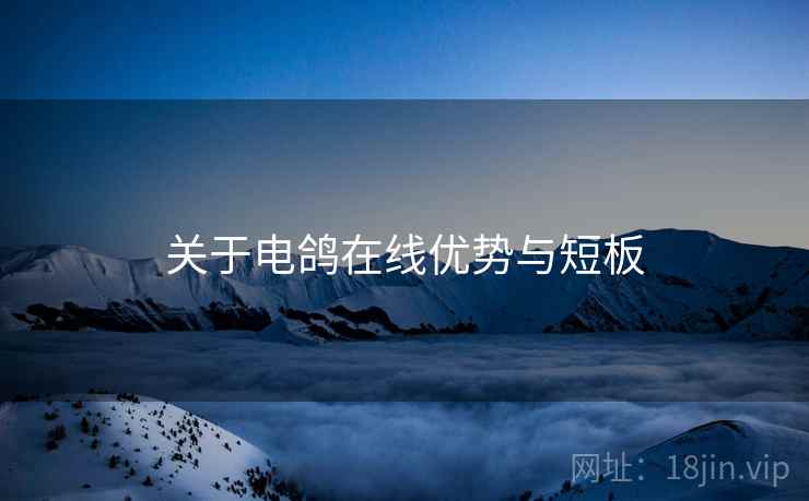 关于电鸽在线优势与短板  第1张