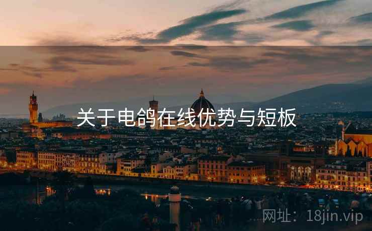 关于电鸽在线优势与短板  第2张