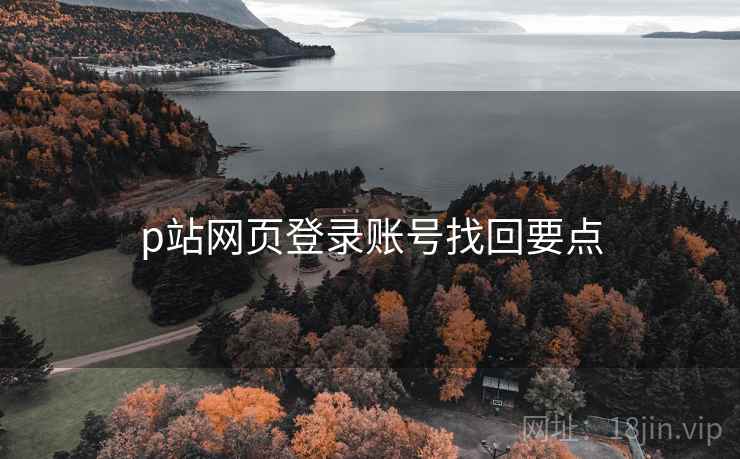 p站网页登录账号找回要点  第2张