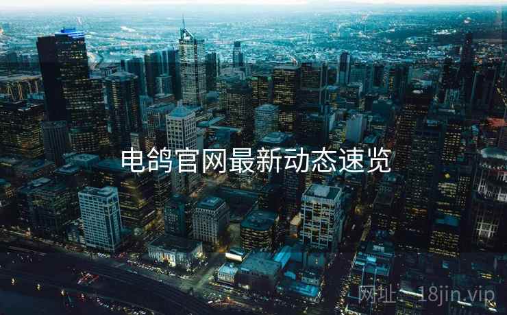 电鸽官网最新动态速览  第2张