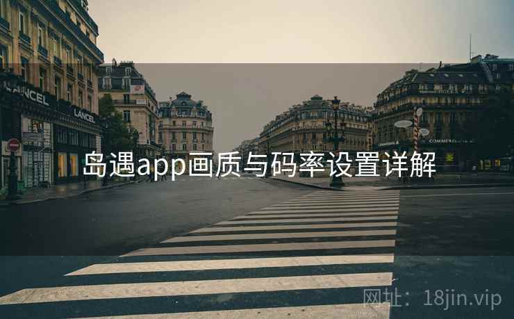 岛遇app画质与码率设置详解  第1张