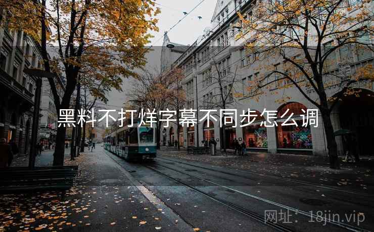 黑料不打烊字幕不同步怎么调  第1张