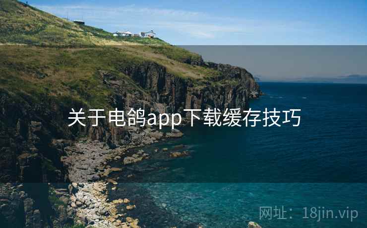 关于电鸽app下载缓存技巧  第2张