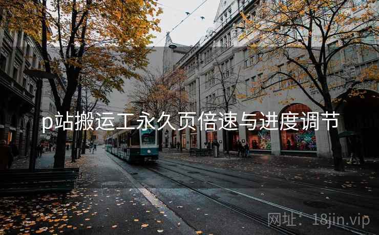 p站搬运工永久页倍速与进度调节  第2张