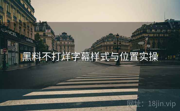 黑料不打烊字幕样式与位置实操  第2张