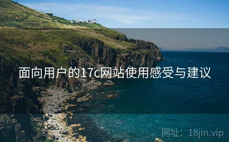 面向用户的17c网站使用感受与建议  第2张