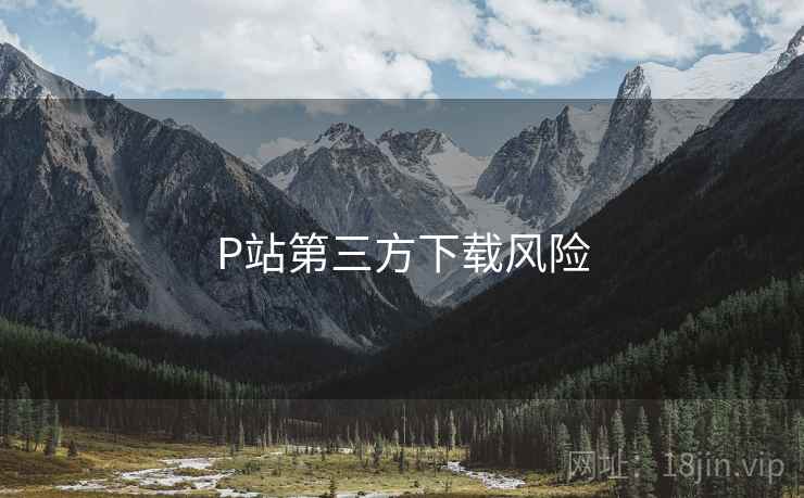 P站第三方下载风险  第1张