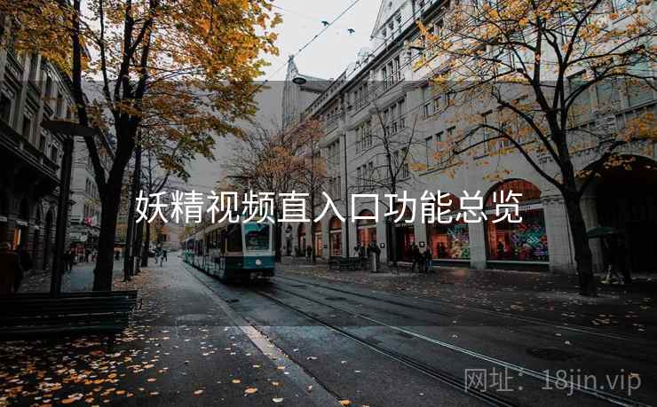妖精视频直入口功能总览  第1张