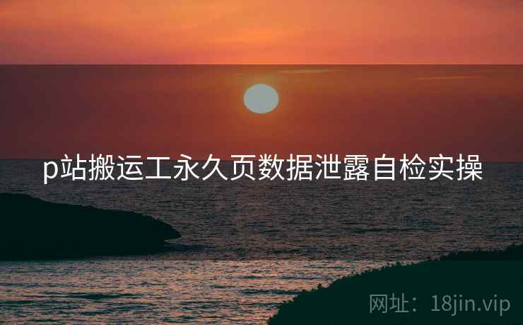 p站搬运工永久页数据泄露自检实操  第2张