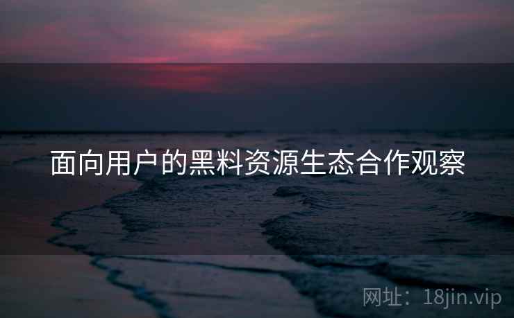 面向用户的黑料资源生态合作观察  第2张