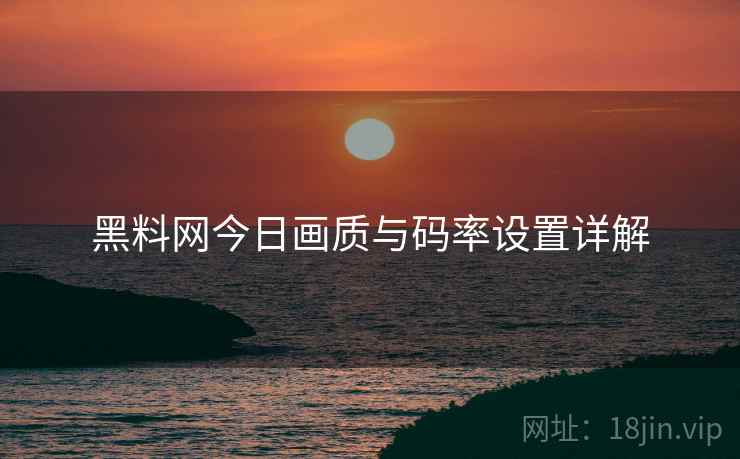 黑料网今日画质与码率设置详解  第1张