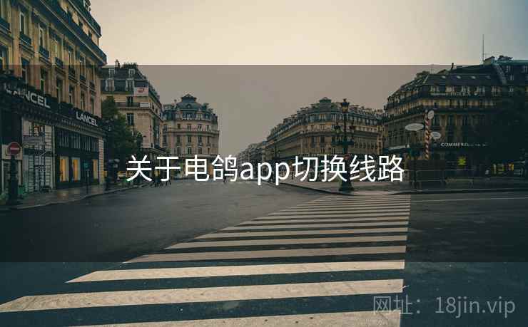 关于电鸽app切换线路  第1张