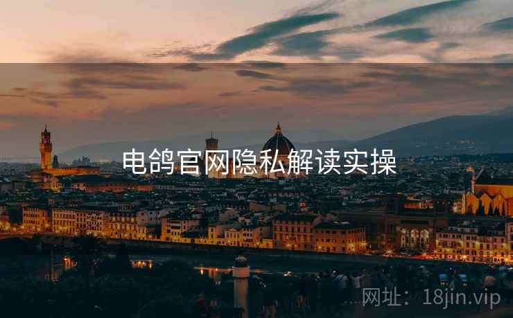 电鸽官网隐私解读实操  第1张