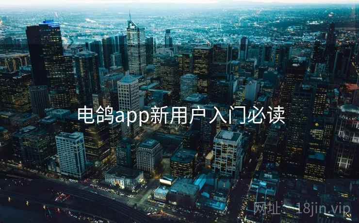 电鸽app新用户入门必读  第1张