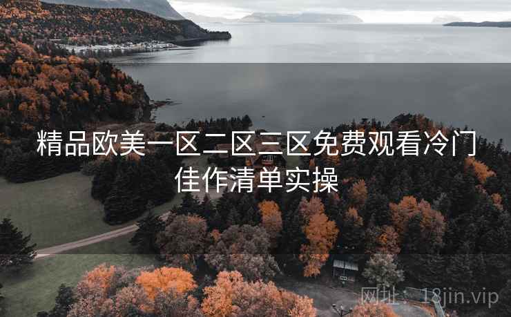 精品欧美一区二区三区免费观看冷门佳作清单实操  第2张