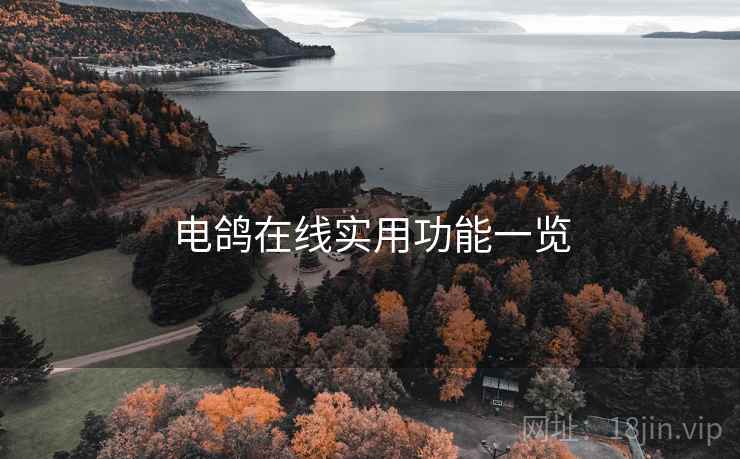 电鸽在线实用功能一览  第1张
