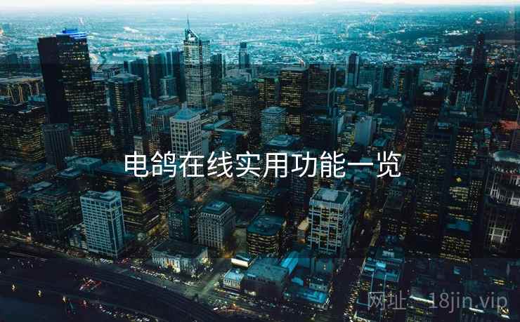 电鸽在线实用功能一览  第2张