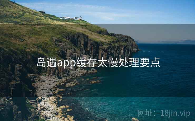 岛遇app缓存太慢处理要点  第1张