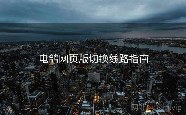 电鸽网页版切换线路指南  第2张