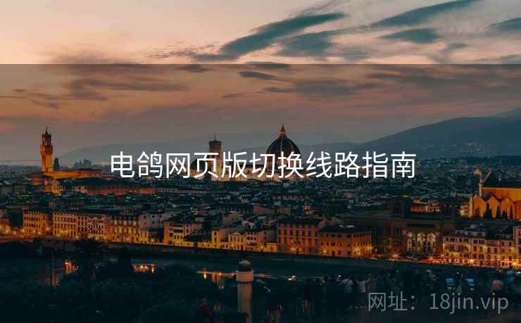 电鸽网页版切换线路指南  第1张