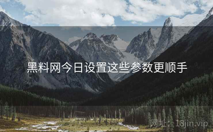 黑料网今日设置这些参数更顺手  第2张