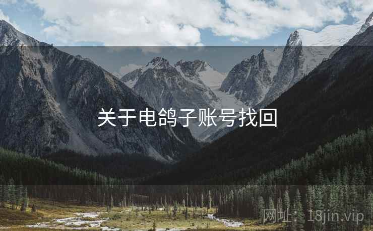 关于电鸽子账号找回  第1张