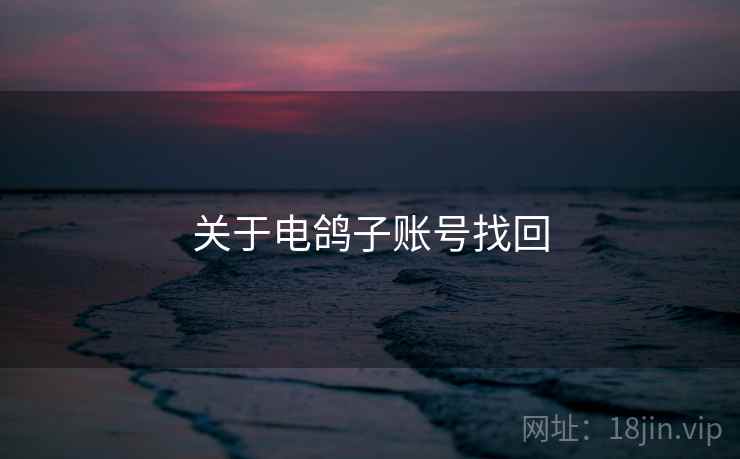 关于电鸽子账号找回  第2张