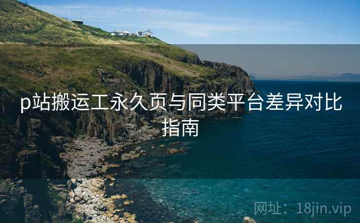 p站搬运工永久页与同类平台差异对比指南  第1张