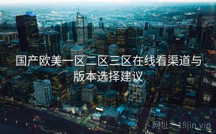 国产欧美一区二区三区在线看渠道与版本选择建议  第2张