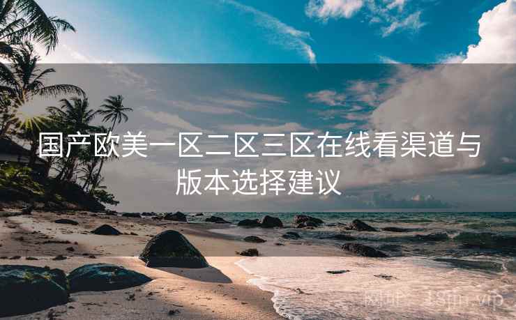 国产欧美一区二区三区在线看渠道与版本选择建议  第1张